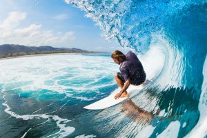 开云体育平台APP-戈贝尔的沉默，当教科书成为一座孤岛